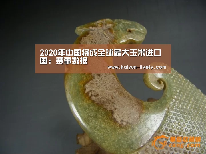 2020年中国将成全球最大玉米进口国:赛事数据(图1) 开云官网
